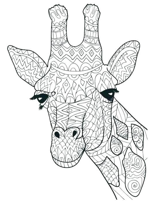 Cute Giraffe Coloring Pages - Giraffe Coloring Pages