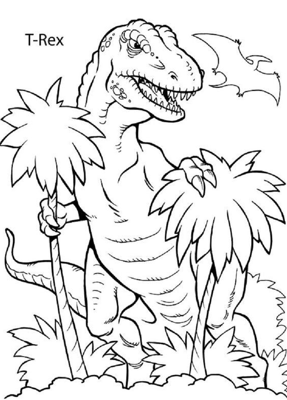 Dinosaur Coloring Pages Free   Dinosaur Coloring