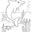 Dolphin Coloring Pages   Dolphin Coloring Pages