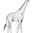 Exclusive Picture Of Giraffe Coloring Pages   Giraffe Coloring Pages