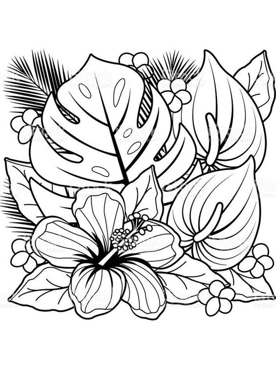 Unique Adult Coloring Pages Free Printable With unique adult coloring pages free printable flowers white