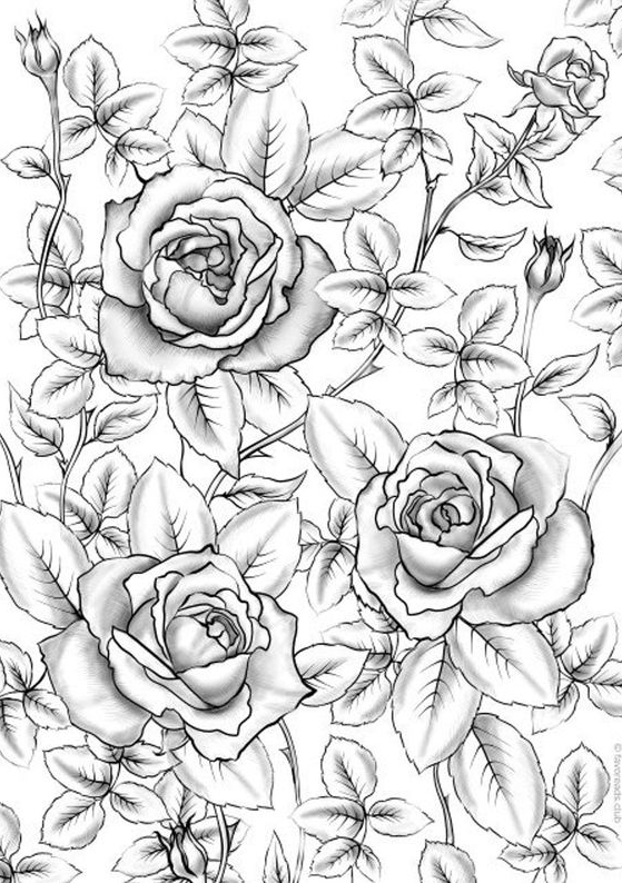 Unique Adult Coloring Pages Free Printable With unique adult coloring pages free printable flowers