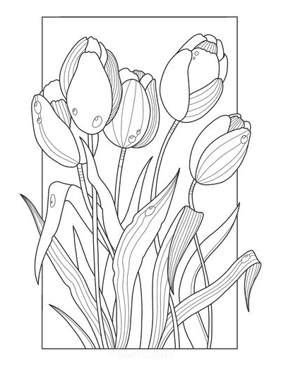 Adult Coloring Pages   Free Flower Coloring Pages For Kids &