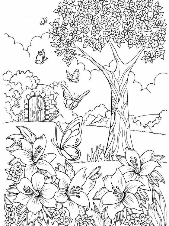 Adult Coloring Pages - Mandala Coloring book page and line art
