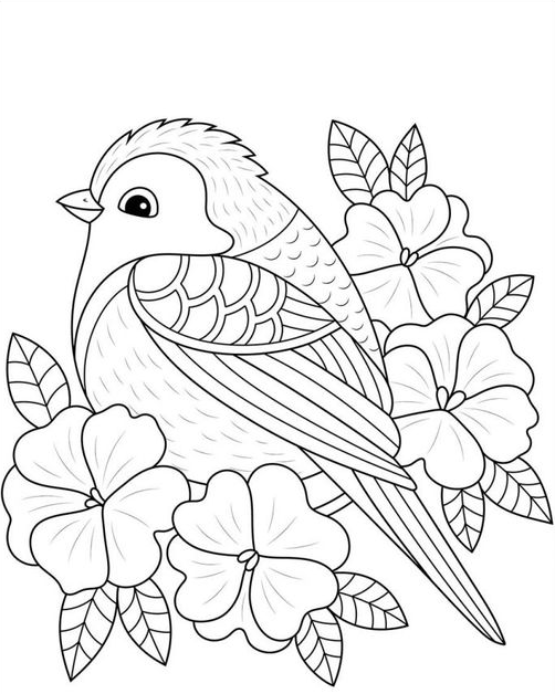 Adult Coloring Pages   Spring Bird And Flowers Coloring For