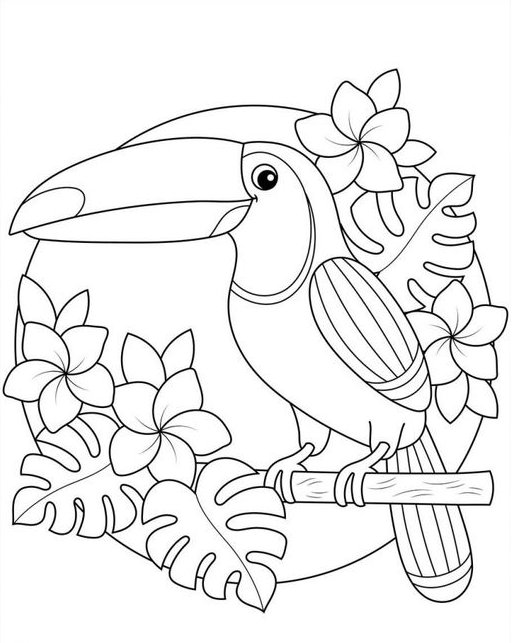 Adult Coloring Pages - Summer Toucan Printable Coloring