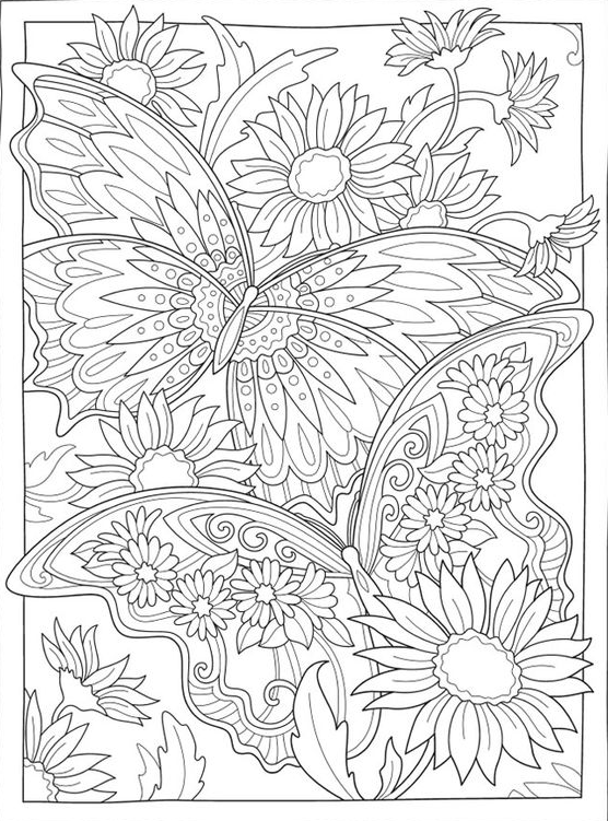 Adult Coloring  With Tree And Butterfly Coloring