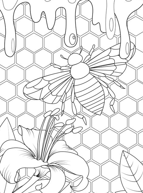 Bee and Honey Adult Coloring Pages