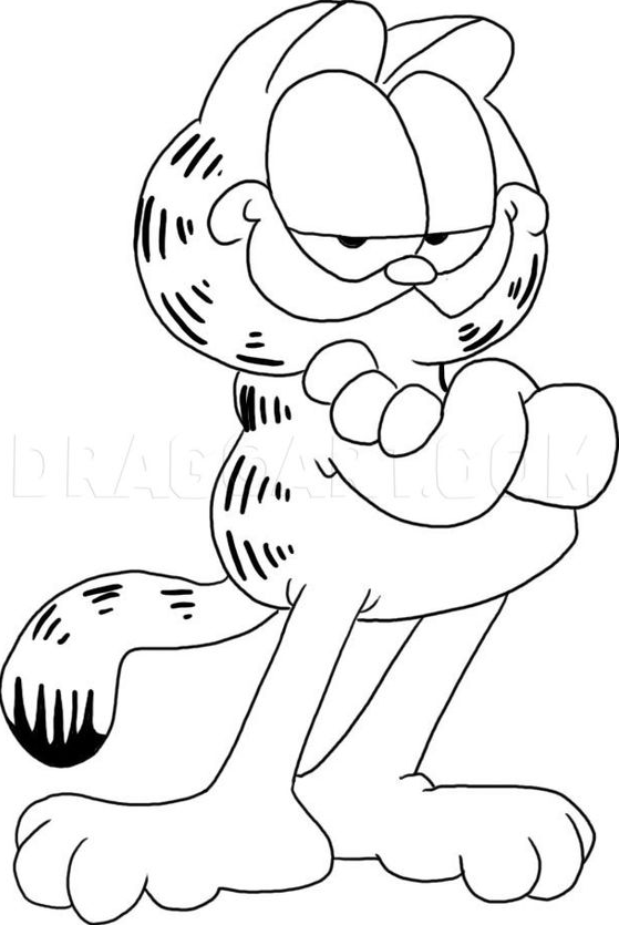 Cartoon Coloring Pages   How To Draw Garfield