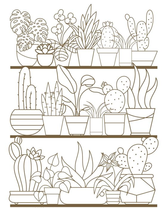 Coloring Pages For Adults With Free Printable Coloring Pages for Adults in Florals and Succulents
