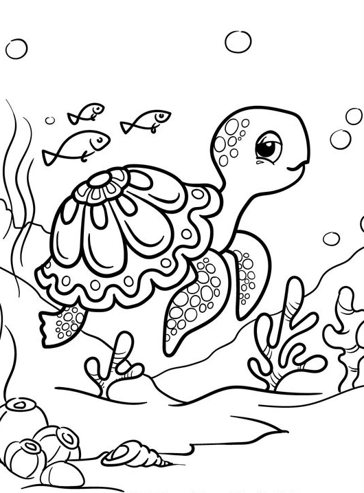 Coloring Sheets With Turtle Coloring