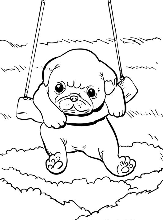 Animal Coloring Pages Cute Animals Coloring Pages