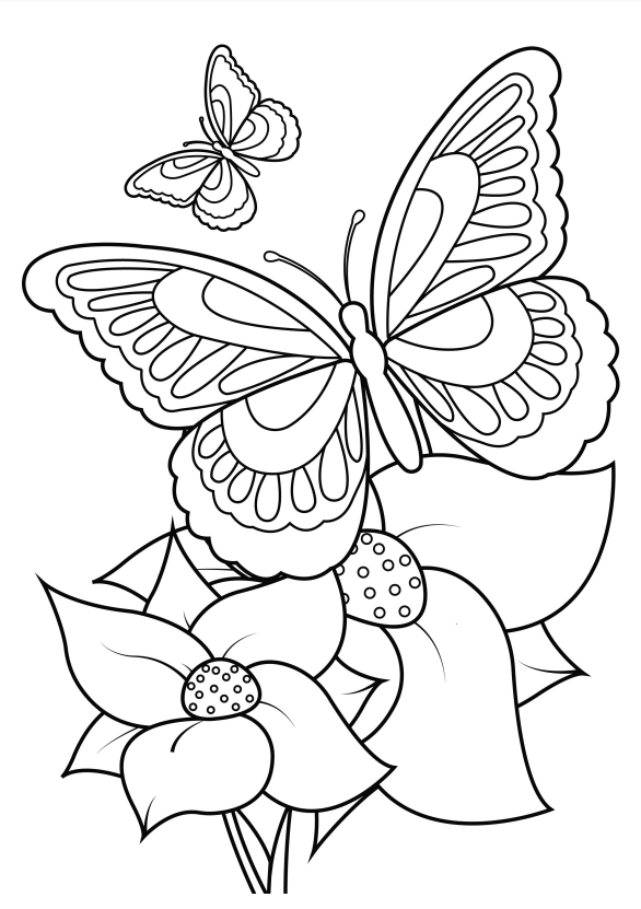 Animal Coloring Pages Flower Butterfly Coloring Pages