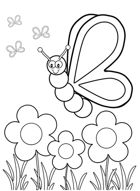 Flower Coloring Pages   Butterfly Coloring