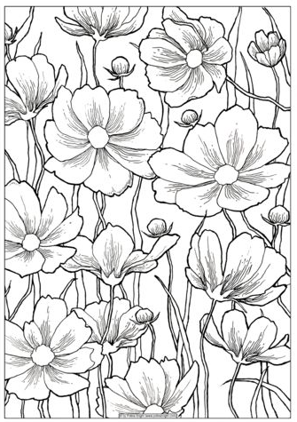 Flower Coloring Pages - Flower line drawing