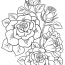 Flower Coloring Pages   Rose Coloring Pages