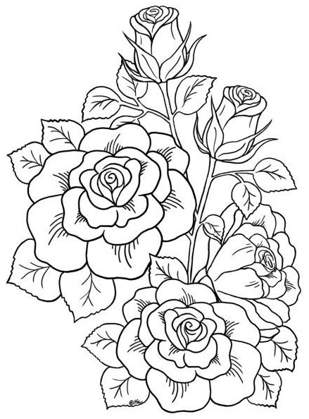 Flower Coloring Pages - Rose coloring pages