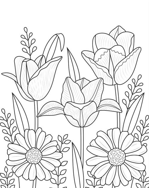 Flower Coloring Pages   Spring Coloring