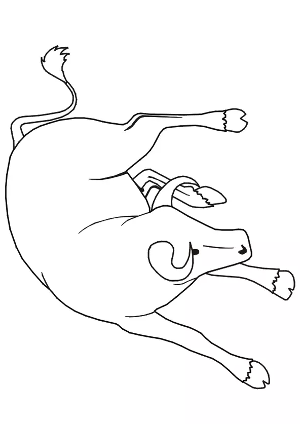 Bull Coloring Pages For Your Toddler - Bull coloring page