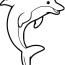 Dophin Coloring Pages   Free Dolphin Coloring Pages