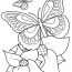 Printable Adult Coloring Pages   Printable Butterfly Coloring Pages For Kids
