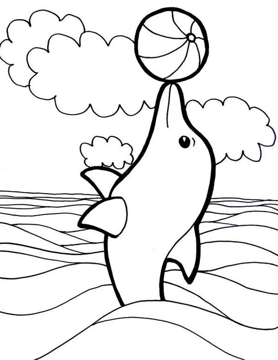 Dolphin Art   Adorable Dolphin Coloring Pages For Your Little