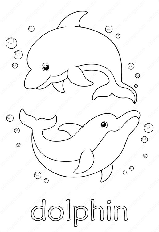 Dolphin Art   Cute Free Printable Dolphin Coloring