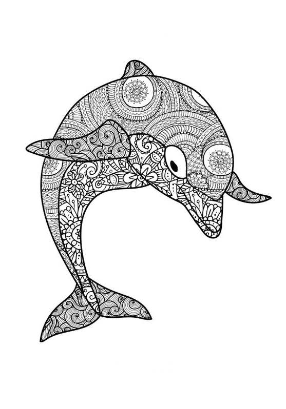 Dolphin Art   Dolphin Coloring Book For