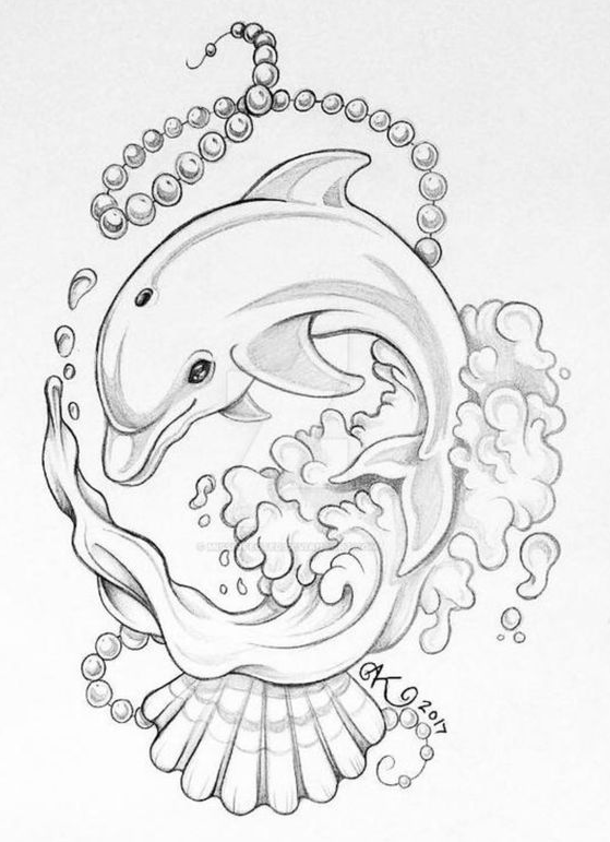 Dolphin Art   Dolphin Art Dolphin Coloring