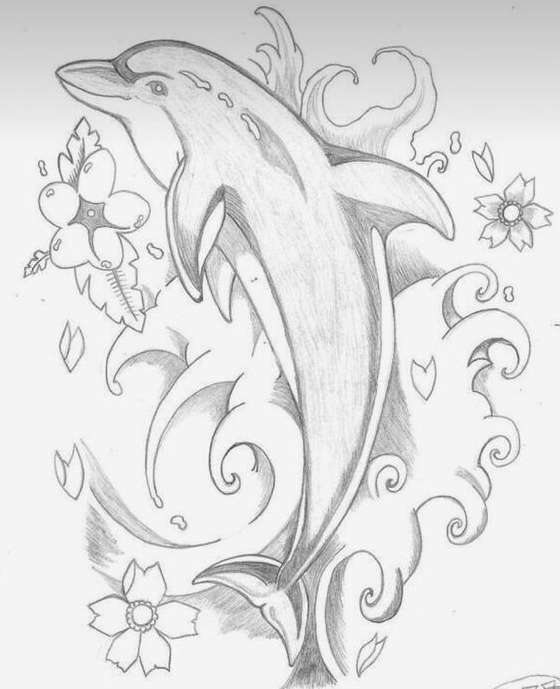 Dolphin Art   Dolphin Coloring Pages Dolphin