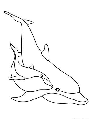 Dolphin Art   Dolphins Coloring