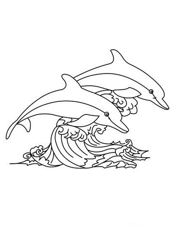 Dolphin Art   Dolphins Online Coloring