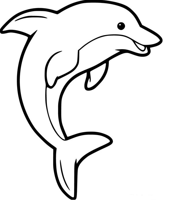 Dolphin Art   Free Printable Dolphin Coloring