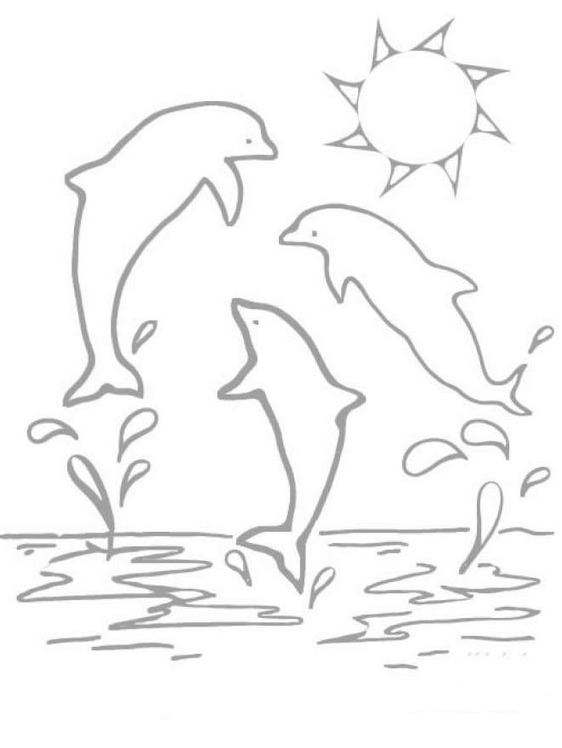 Dolphin Art   Three Dolphins Coloring Pages