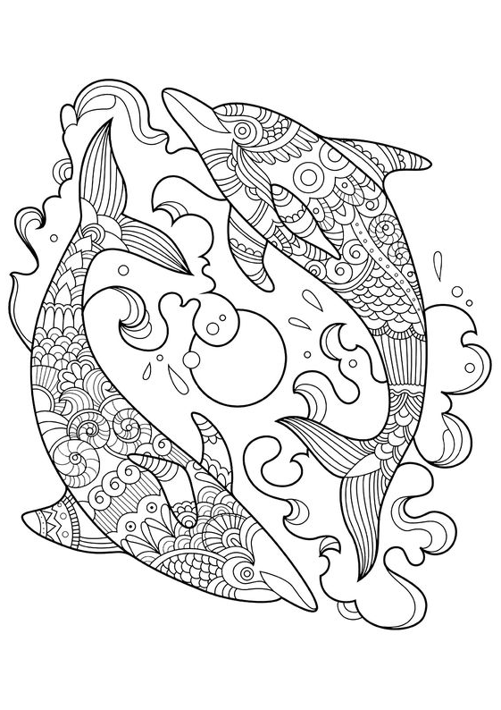 Dolphin Art   Two Beautiful Dolphins Dolphins Coloring Pages For