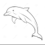 Dolphin Painting   Dolphin Illustration Stock Vector