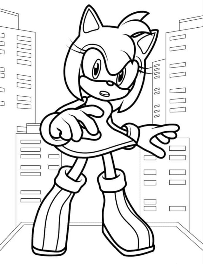 Amy Rose Outline For