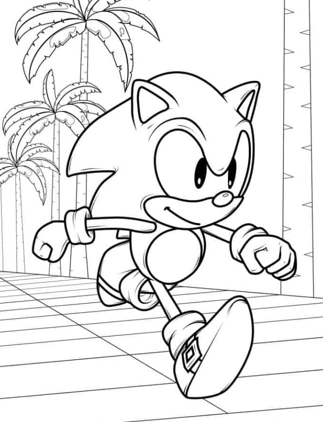 Running Sonic In Video