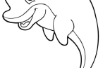 Cute Dolphin Coloring Pages For Kids   Dolphin Coloring Pages