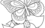 Adult Coloring Pages   Printable Butterfly Coloring Pages For Kids