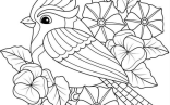 Adult Coloring Pages   Spring Blue Jay Easy Adult Coloring Page