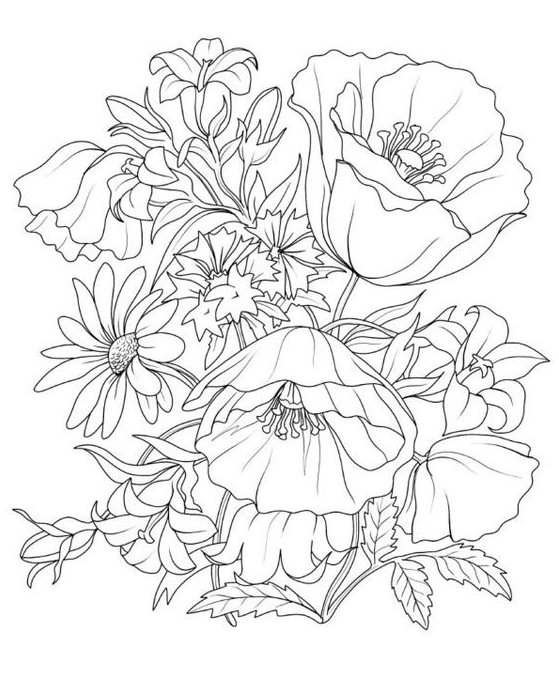 Coloring Pages - Adult colouring printables