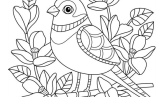 Coloring Pages   Bird Coloring Pages