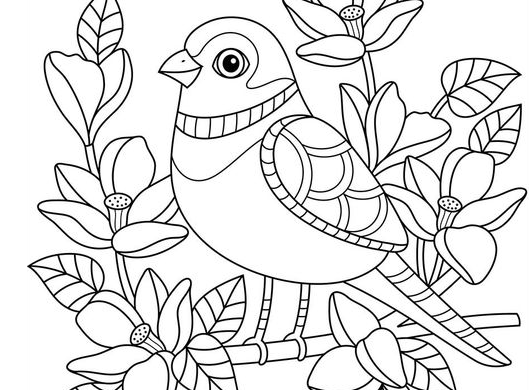 Coloring Pages   Bird Coloring Pages