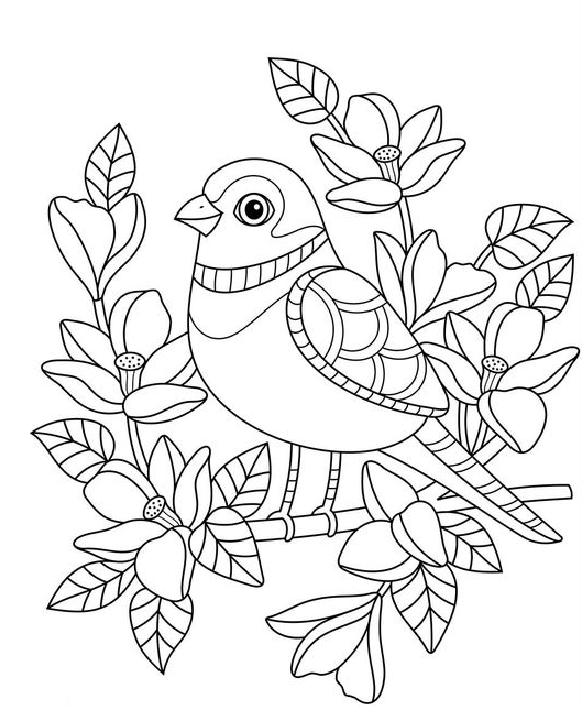 Coloring Pages - Bird coloring pages