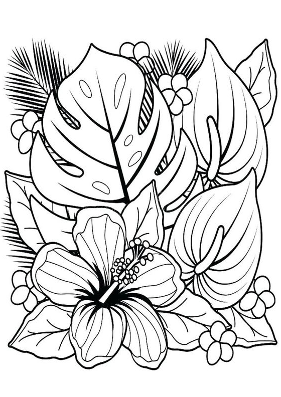 Coloring Pages - Coloring Page of Flowers for Adult