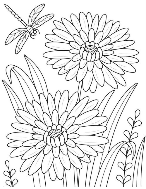 Coloring S   Dahlias And Dragonfly Adult Coloring