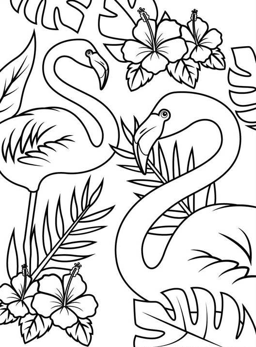 Coloring Pages - Flamingos Coloring Pages