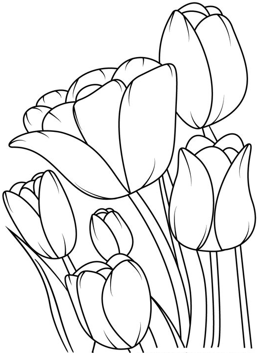 Coloring Pages - Flower pattern drawing