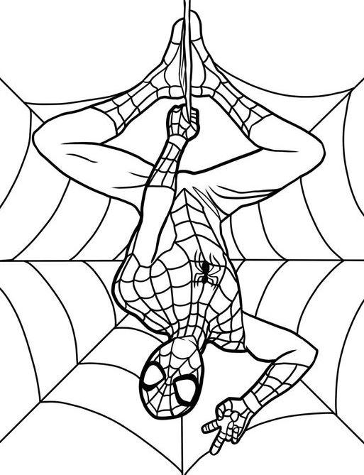 Coloring Pages For Boys   Spider Man Coloring Pages Free